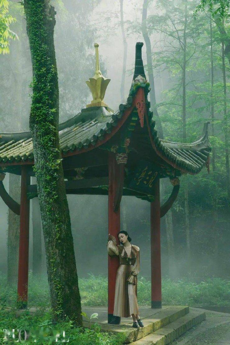 哈尼和她的宠物们